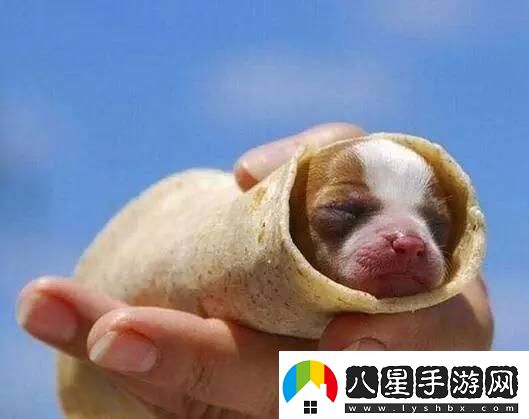 炎炎夏日再窮不能沒空調(diào)妹子驚嘆你連風(fēng)油精都不如