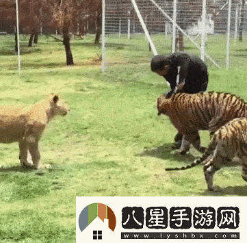 炎炎夏日再窮不能沒空調(diào)妹子驚嘆你連風(fēng)油精都不如