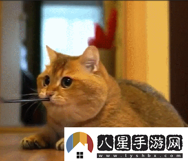 炎炎夏日再窮不能沒空調(diào)妹子驚嘆你連風(fēng)油精都不如