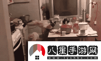 炎炎夏日再窮不能沒空調(diào)妹子驚嘆你連風(fēng)油精都不如