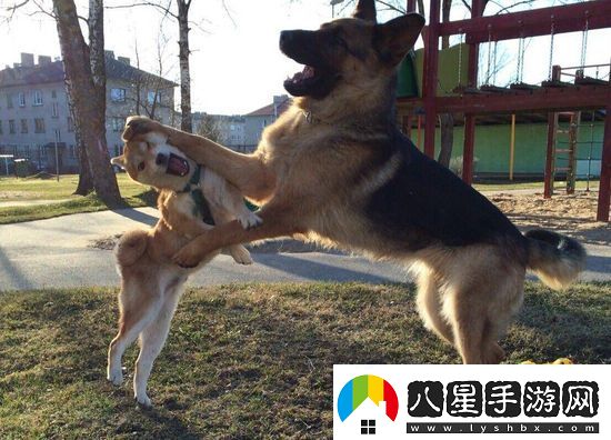 炎炎夏日再窮不能沒空調(diào)妹子驚嘆你連風(fēng)油精都不如