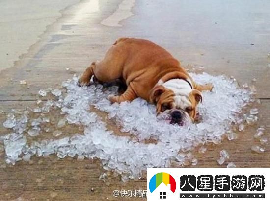 炎炎夏日再窮不能沒空調(diào)妹子驚嘆你連風(fēng)油精都不如