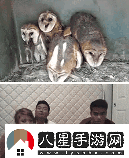 炎炎夏日再窮不能沒空調(diào)妹子驚嘆你連風(fēng)油精都不如