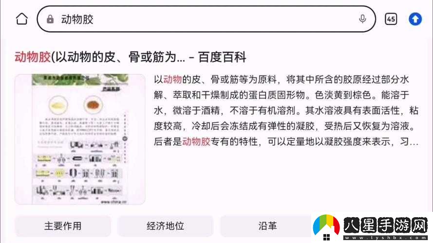 動物膠配方整個過程解析