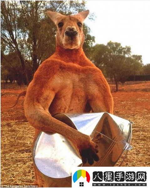 炎炎夏日再窮不能沒空調(diào)妹子驚嘆你連風(fēng)油精都不如