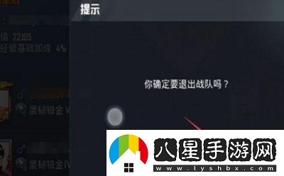 如何在和平精英中退出隊伍