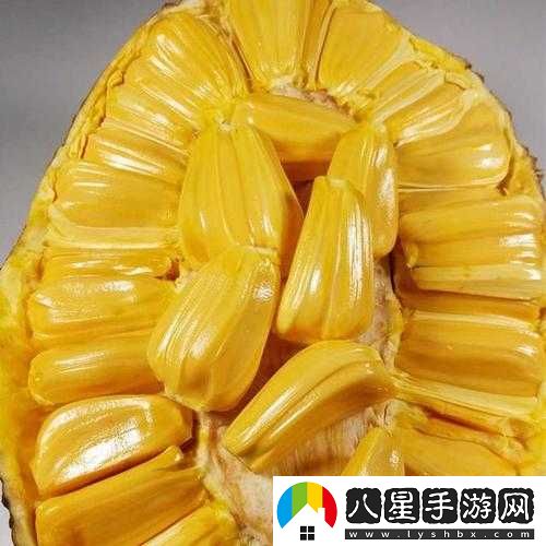 亞精產(chǎn)品一三三三菠蘿蜜的獨(dú)特魅力