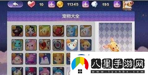 天天風(fēng)之旅寵物搭配指南