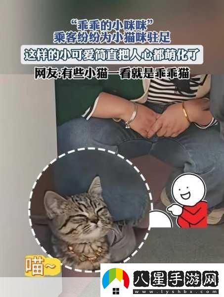 萌寵新紀(jì)元！小貓咪大城市2024年攜中文版登陸XGP