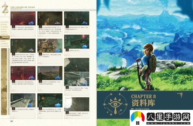 塞爾達(dá)傳說