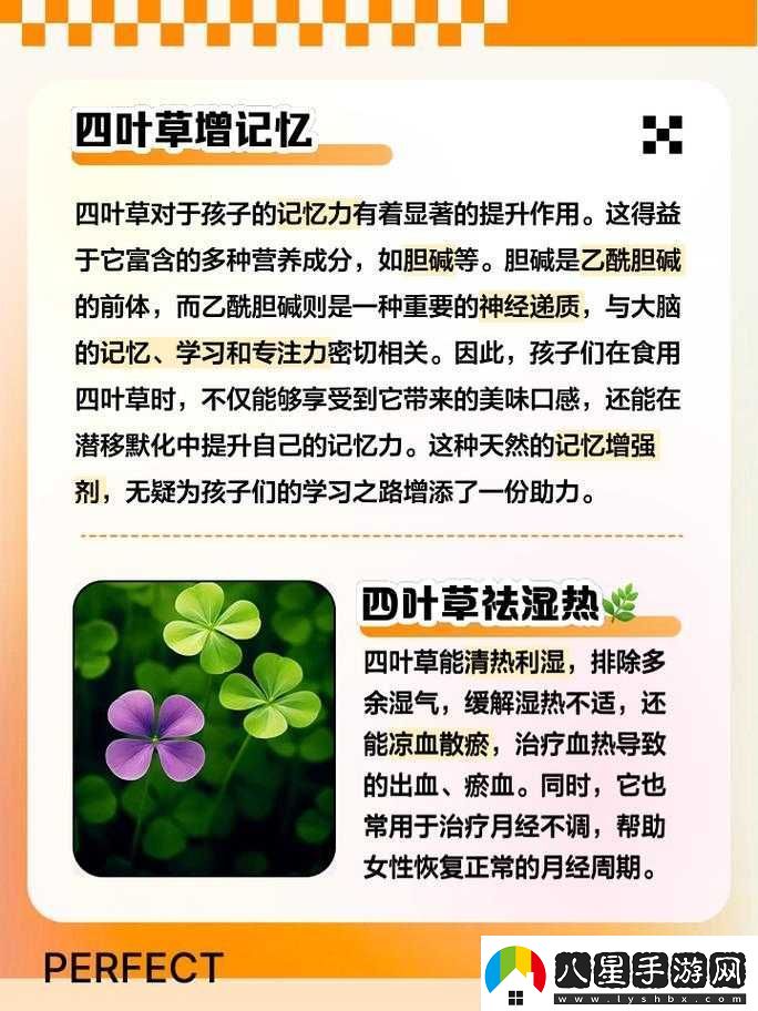 四葉草秘密研究所人口