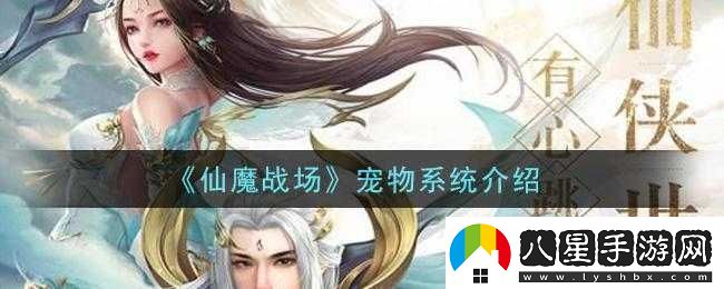 關(guān)于仙魔戰(zhàn)場寵物玩法的深度分析與探討