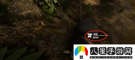 greenhell骨針怎么做-綠色地獄骨針制作方法