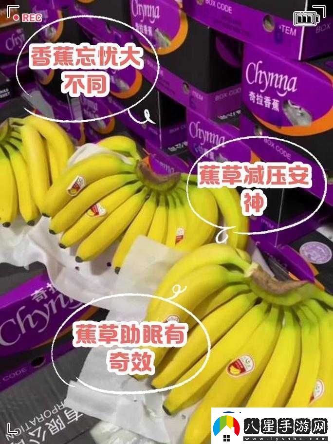 香蕉和忘憂草的區(qū)別