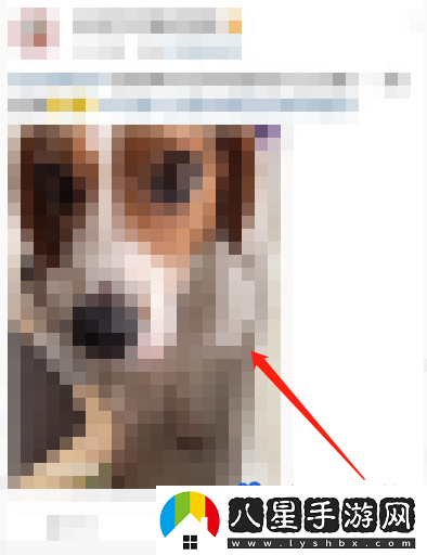 微博怎么關(guān)閉動(dòng)態(tài)視頻-關(guān)閉動(dòng)態(tài)視頻封面方法