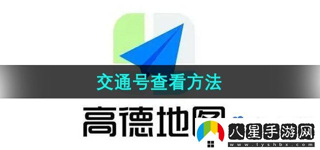 高德地圖怎么查看交通號(hào)-交通號(hào)查看方法