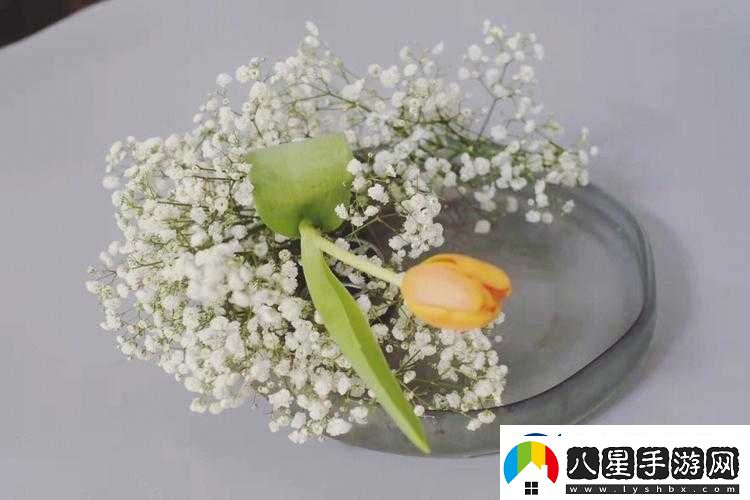 藝術學院滿天星法版免費