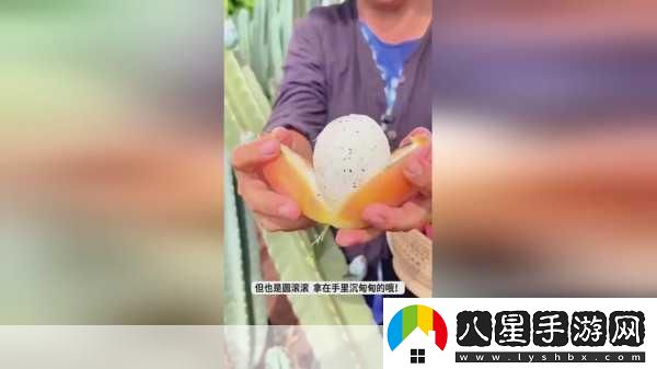 我愛搞52GAPP探索52G應(yīng)用讓你愛上科技與生活的無縫連接！