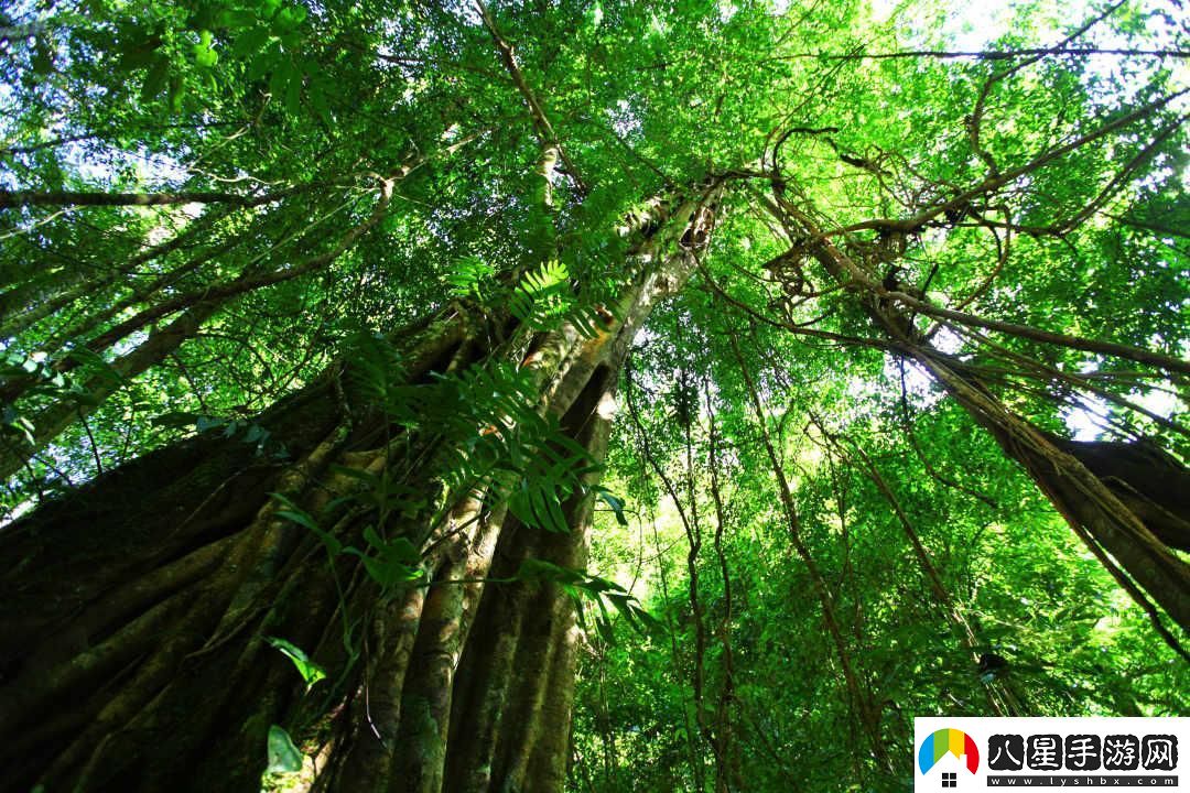 緩慢而有力的慢慢推進