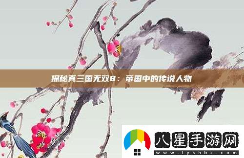 探秘真三國(guó)無雙8