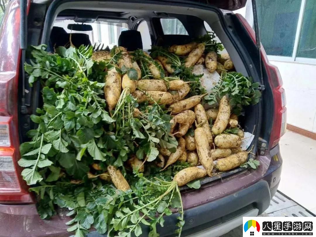 免費和流暢觀看