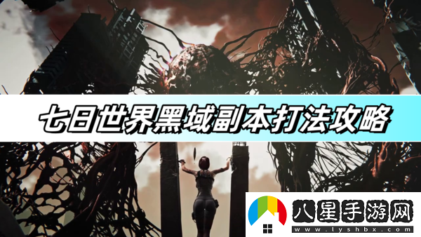 七日世界黑域副本通關(guān)秘籍-快速戰(zhàn)勝強力BOSS的詳細攻略