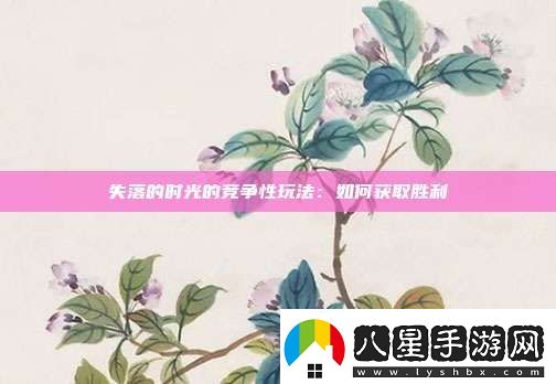 失落的時光的競爭性玩法