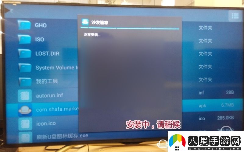 夏普LCD40DS72A通過(guò)U盤(pán)安裝第三方應(yīng)用