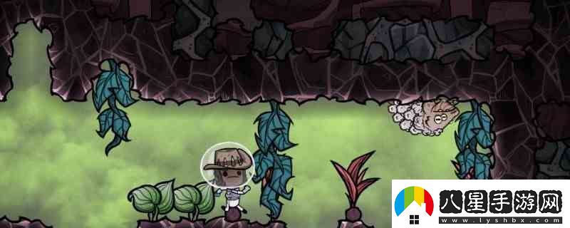 缺氧剪毛站作用分享