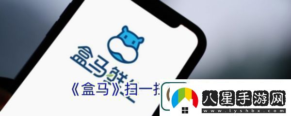 盒馬鮮生app如何掃碼查詢訂單盒馬掃一掃功能位置