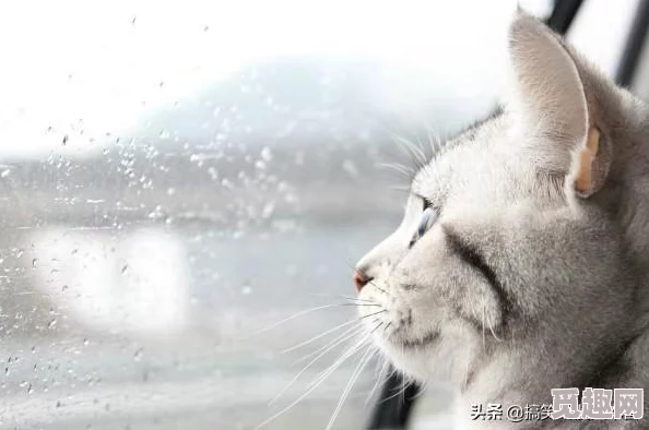 問道手游五系職業(yè)全面解析