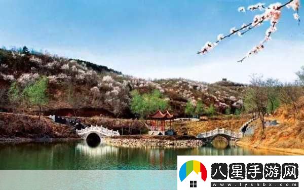 jy收集系統(tǒng)白清素