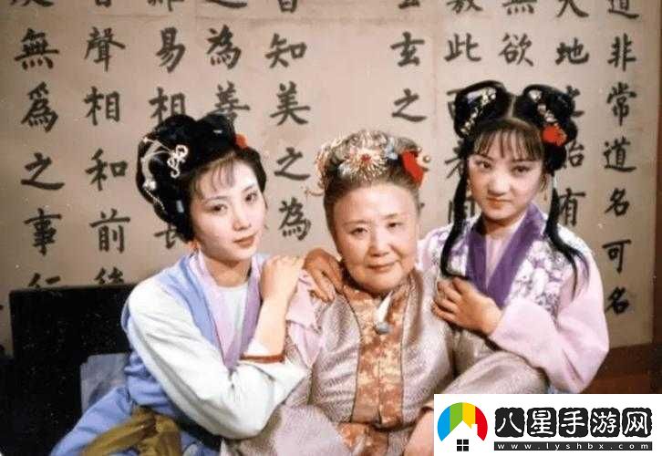 果凍傳媒之罪母之傷