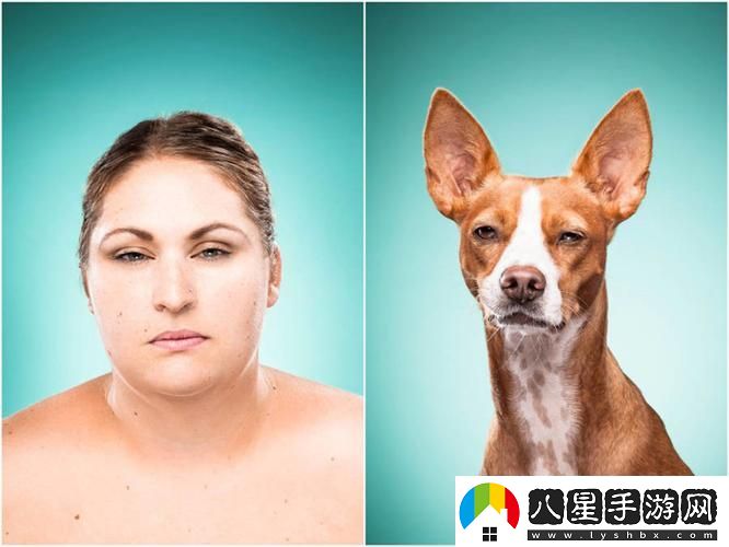 新探索人物動物交互狗aa帶來的美好體驗