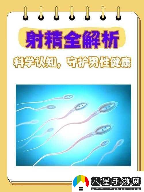 關(guān)于WWW高潮的獨特體驗與探討