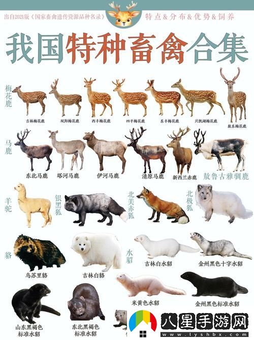 人狗畜禽COMPANYLIMITED