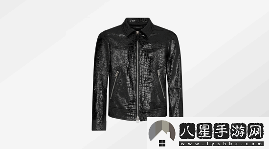 黃仁勛新皮衣超帥！價格曝光