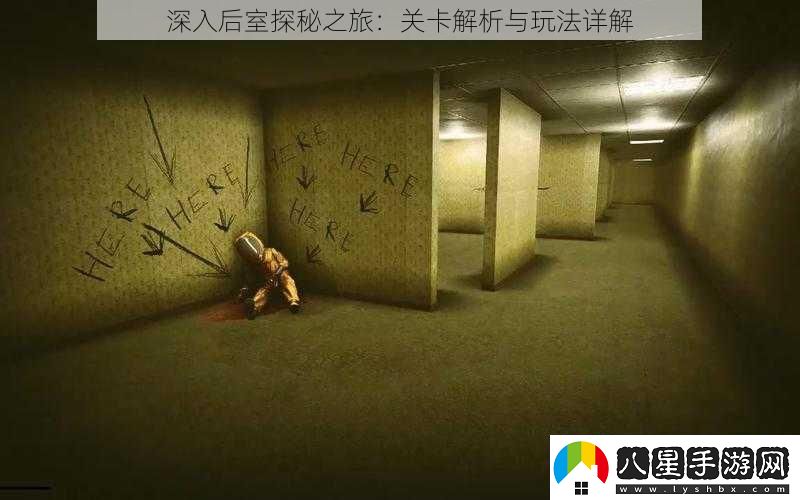 深入后室探秘之旅