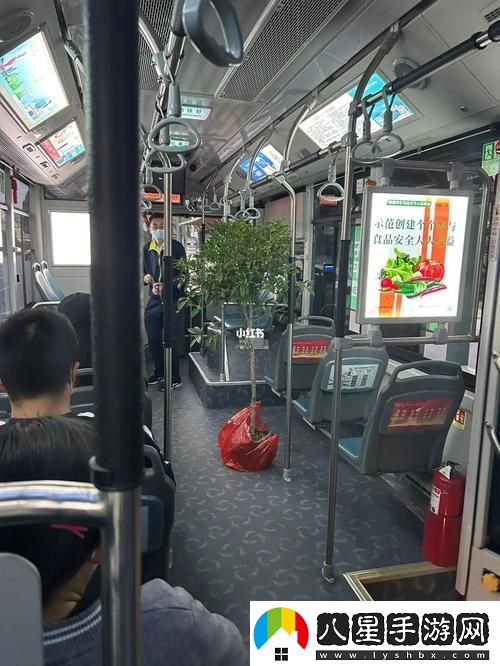 愛情與命運交錯的旅程