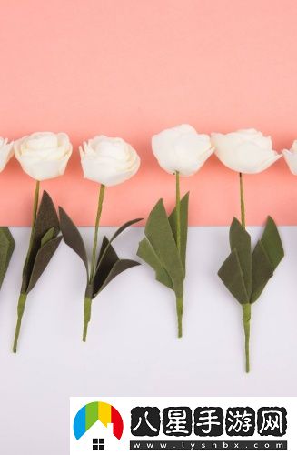 密秘入口專屬于男宅的秘密無卡頓版